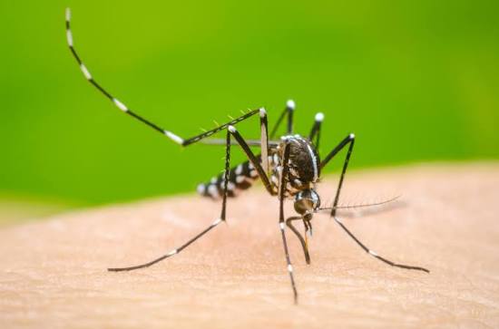 Presentación del Plan 2025/2026 de Control del Dengue en Funes