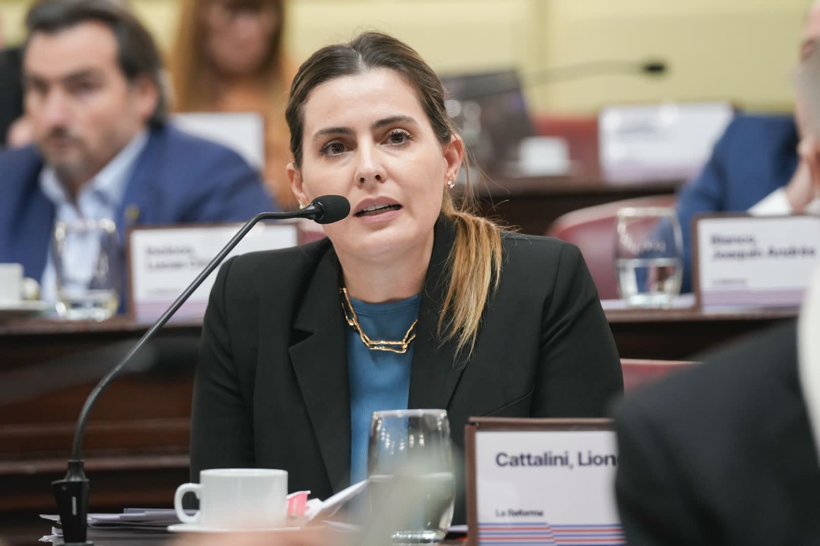 CATTALINI PIDIÓ CELERIDAD AL CONSEJO DE LA MAGISTRATURA EN EL CASO DEL JUEZ SALMAIN